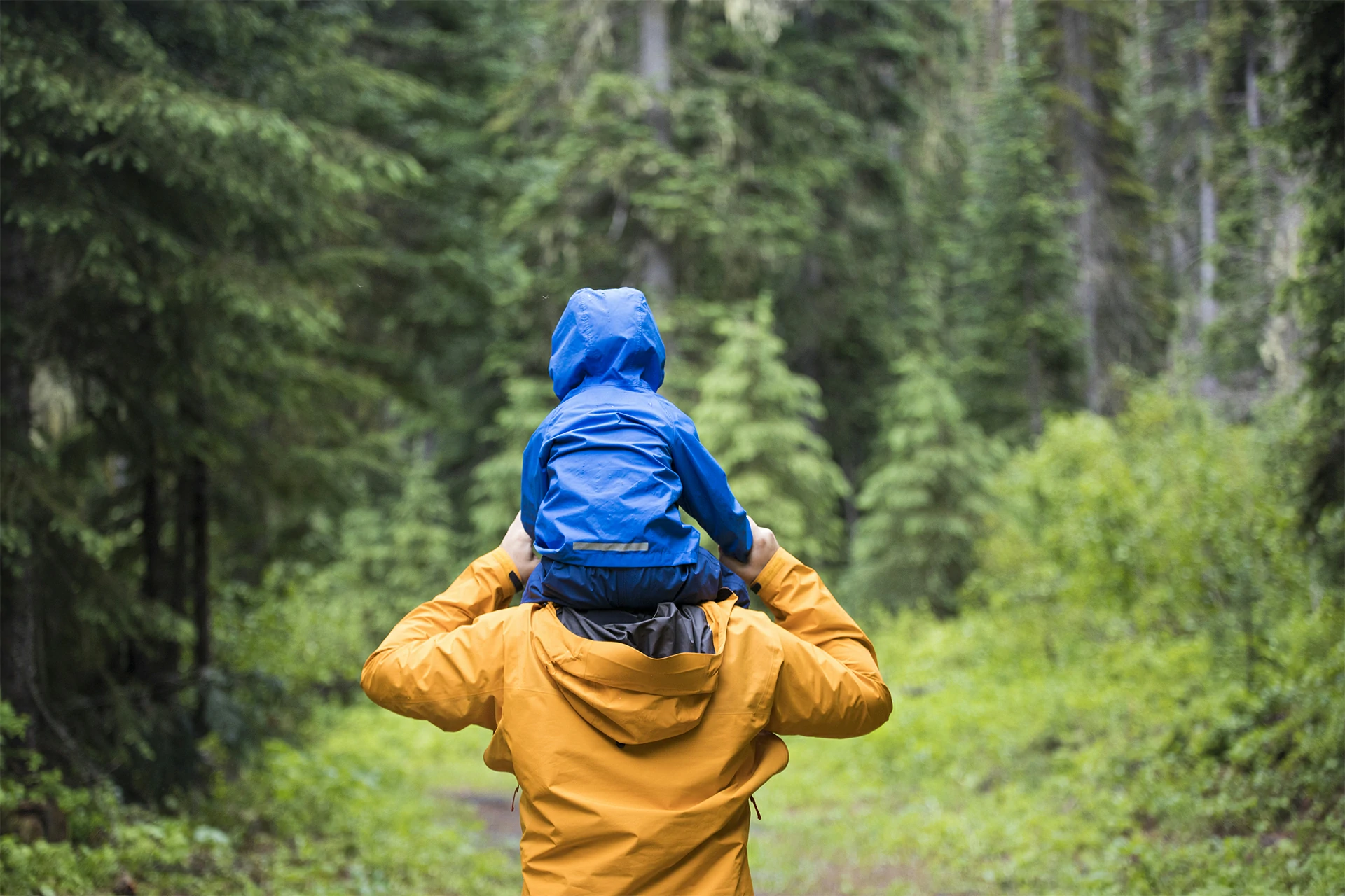 What is the Waterproof Fabric and how it is used