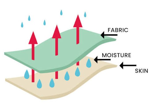 Nylon-Wool-Single-Jersey-Base-Layer-Fabric